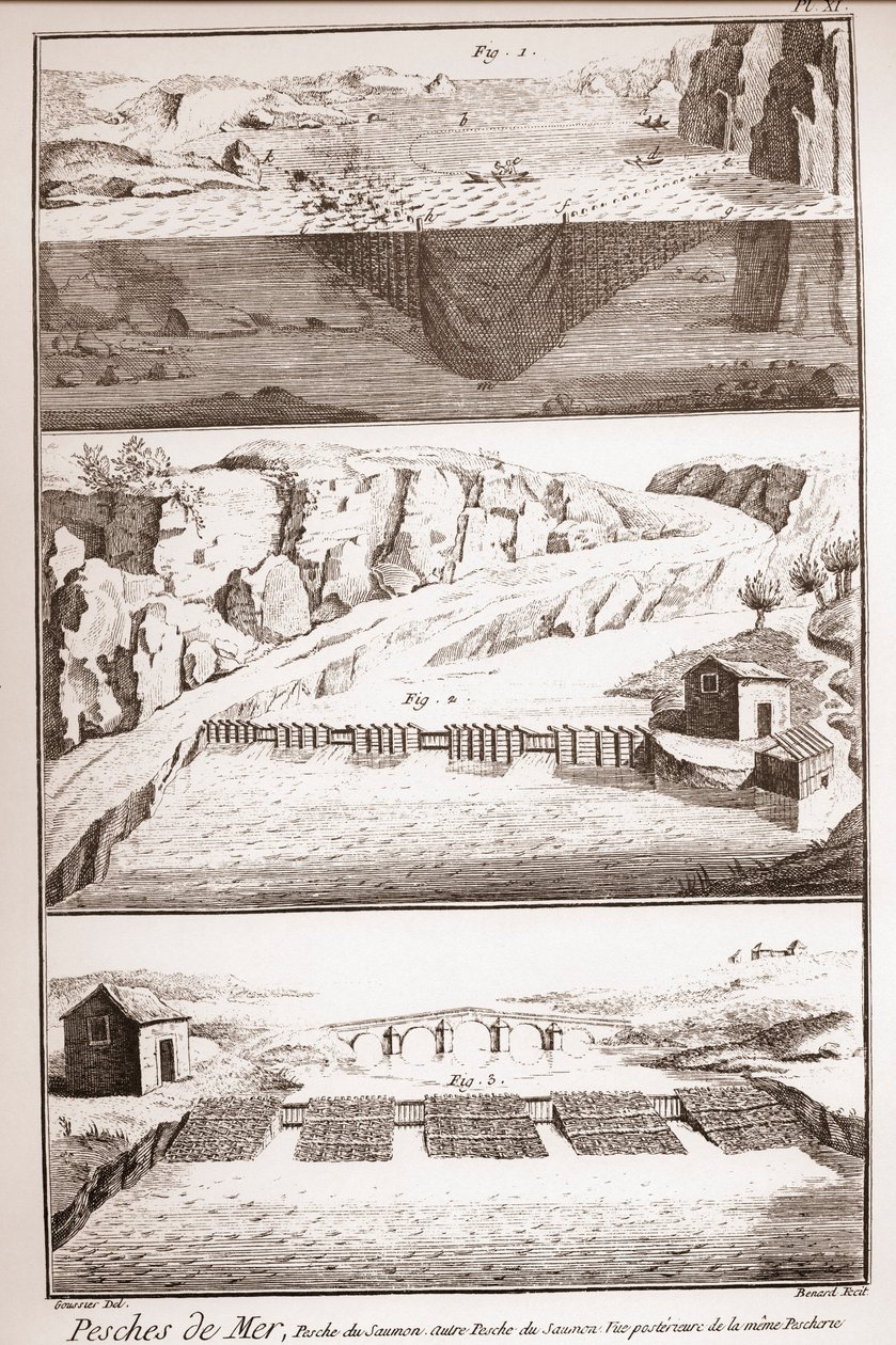 Lohenpyyntitekniikat – Denis Diderot