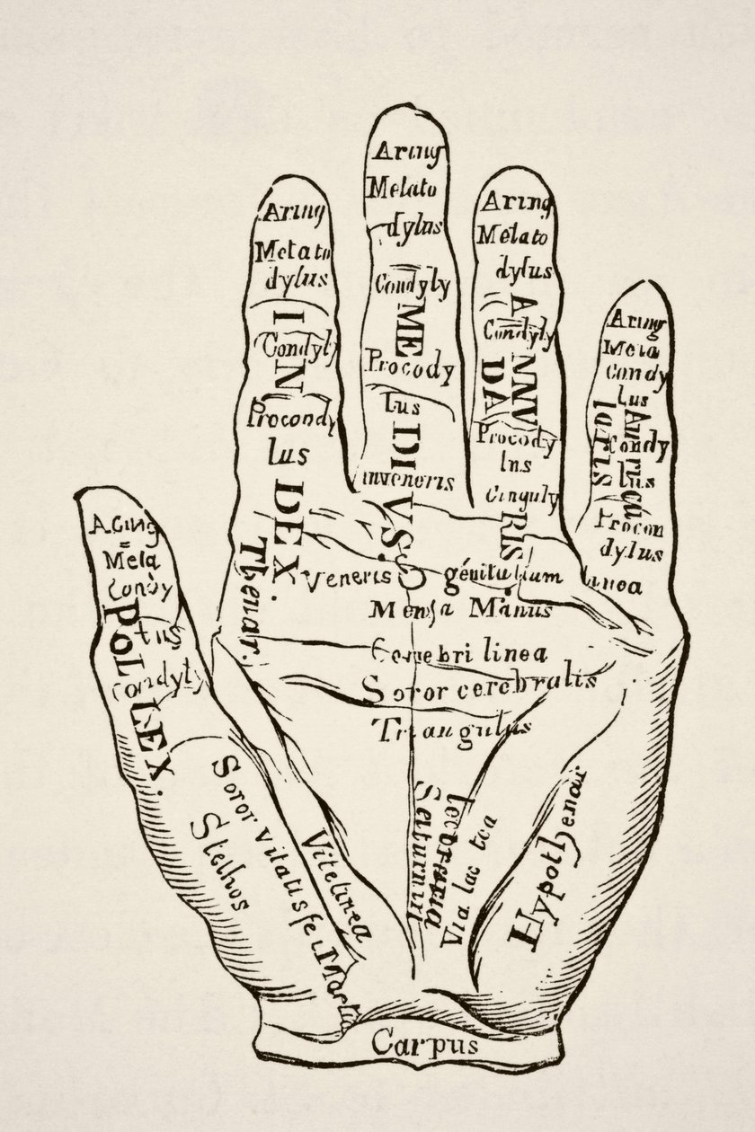 Näyte vasemmasta kädestä viivoineen ja niiden horoskooppisilla nimityksillä, Paul Lacroix -pubista Tiede ja kirjallisuus keskiajalla. Lontoo 1878 tekijältä French School