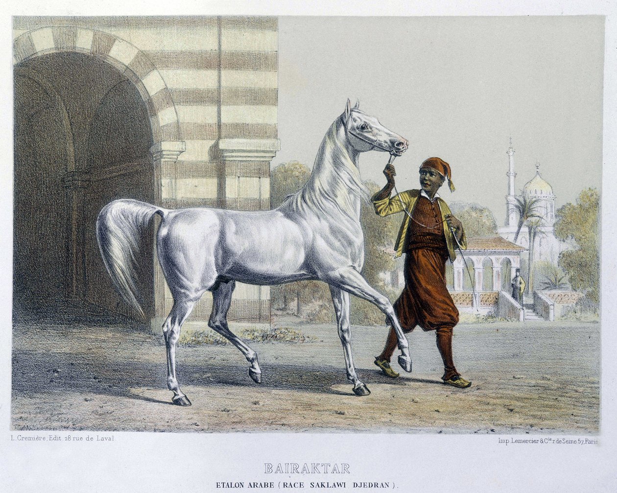 Stalon arabia, Bairaktar tekijältä French School