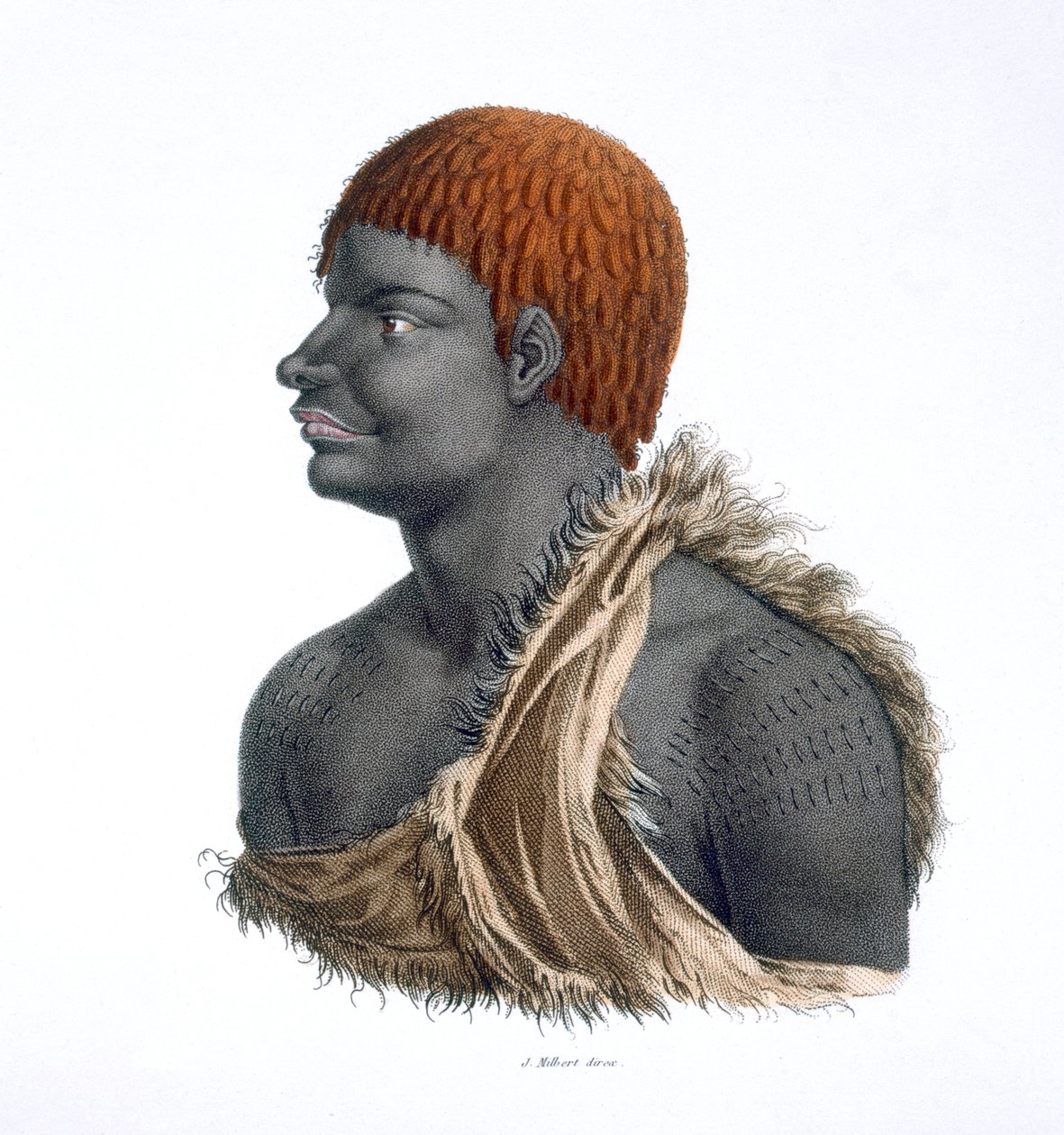 Tasmanian aboriginaali, 1812 tekijältä French School
