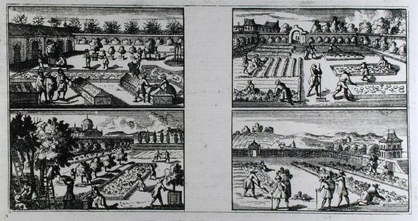 Puutarhanhoito, Jean de La Quintinyen teoksesta "The Compleat Gard
