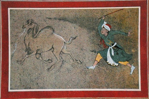 The Angry Camel Driver, kuvitus elokuvasta "The Arabian Nights" tekijältä French School