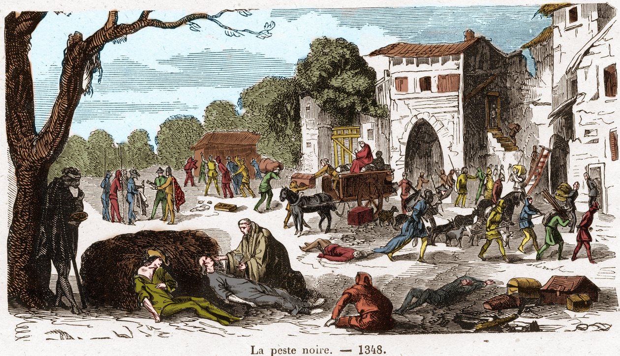 Musta rutto vuonna 1348. Kaiverrus teokseen "Histoire De France En Cent Paintings by Paul Lehugeur" 1891. tekijältä French School