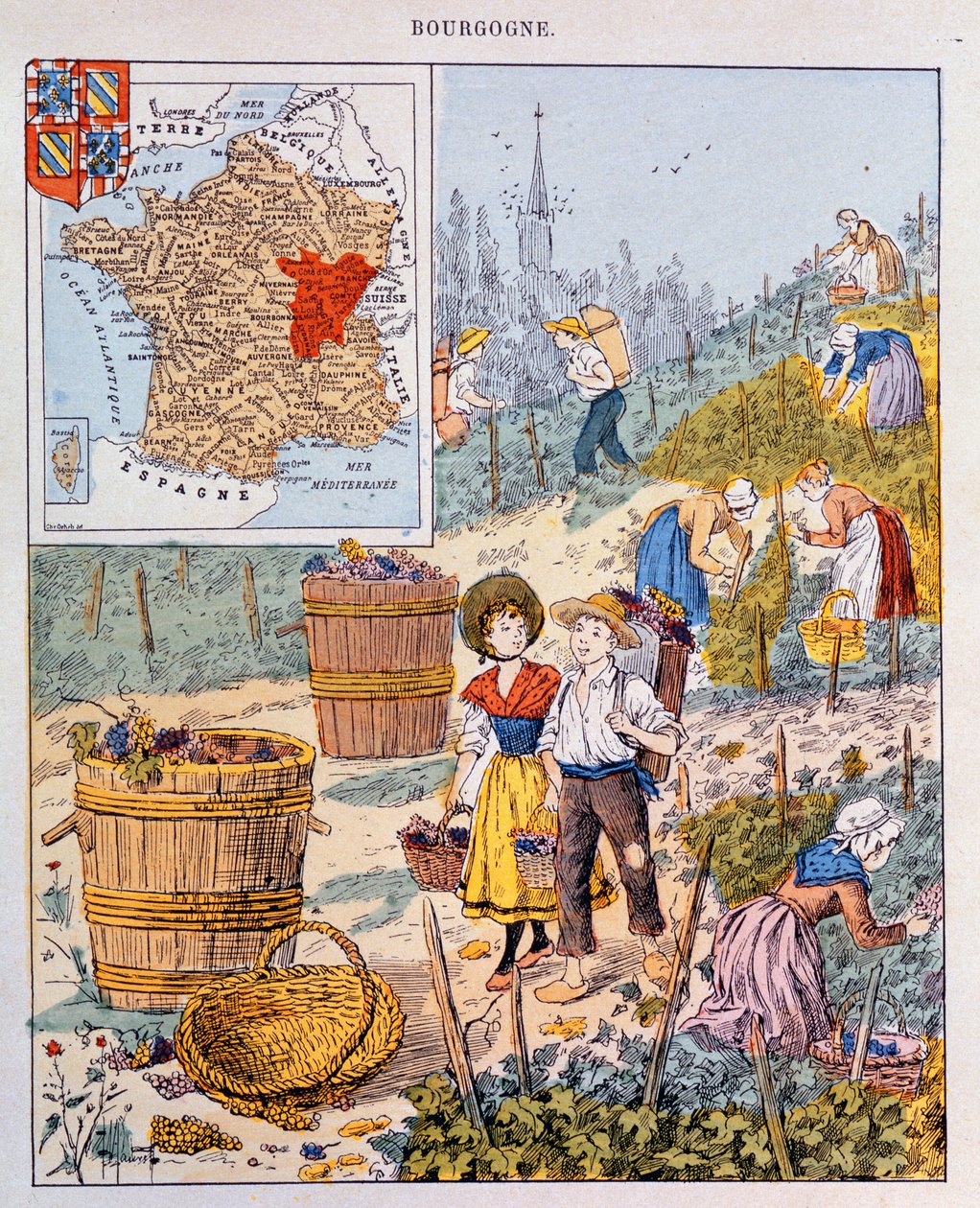 Viinirypäleen sato Burgundiassa, kuva koulun oppikirjasta, n. 1910 tekijältä French School