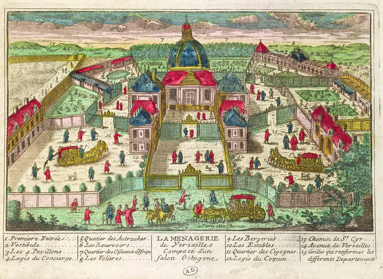 Menagerie ja Octagonal Salon Versaillesissa tekijältä French School