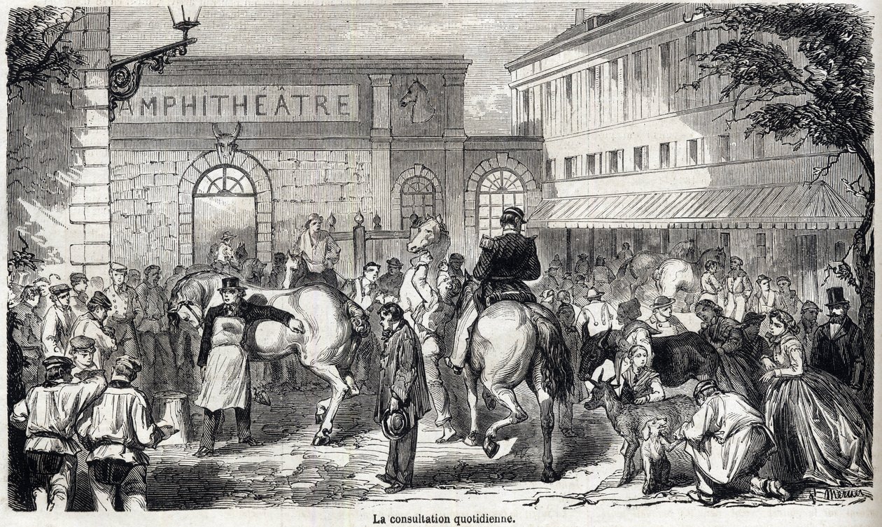 Alfortin kansallinen eläinlääkintäkoulu - Les grandes écoles de France - Maison Alfortin eläinlääkintäkoulu vuonna 1866 - Päivittäinen konsultaatio - Kaiverrus vuoden 1866 "Le monde illustrious" -kirjaan tekijältä French School