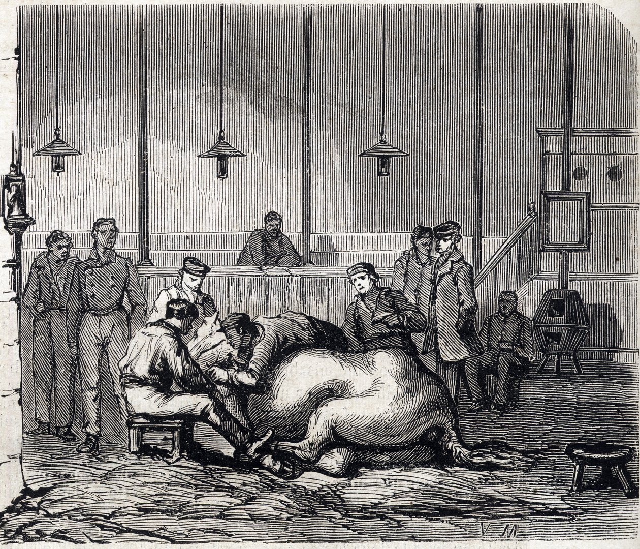 Alfortin kansallinen eläinlääkintäkoulu - Les grandes écoles de France - Maison Alfortin eläinlääkintäkoulu vuonna 1866 - Leikkihuone - Kaiverrus "Le monde illustrious" -kirjassa vuodelta 1866 tekijältä French School