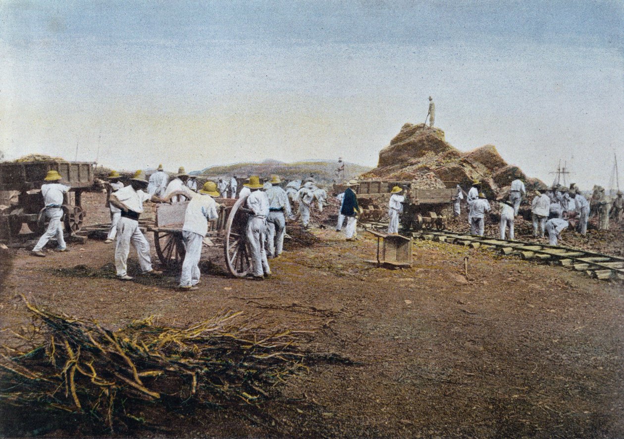 Vangit työssä Noumean rangaistussiirtokunnassa Uudessa-Kaledoniassa, kaiverrus Gillot, n. 1900 tekijältä French School