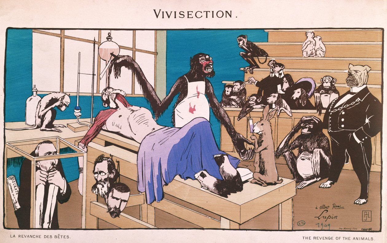 Eläinten kosto, vivisektion karikatyyri, 1909 tekijältä French School