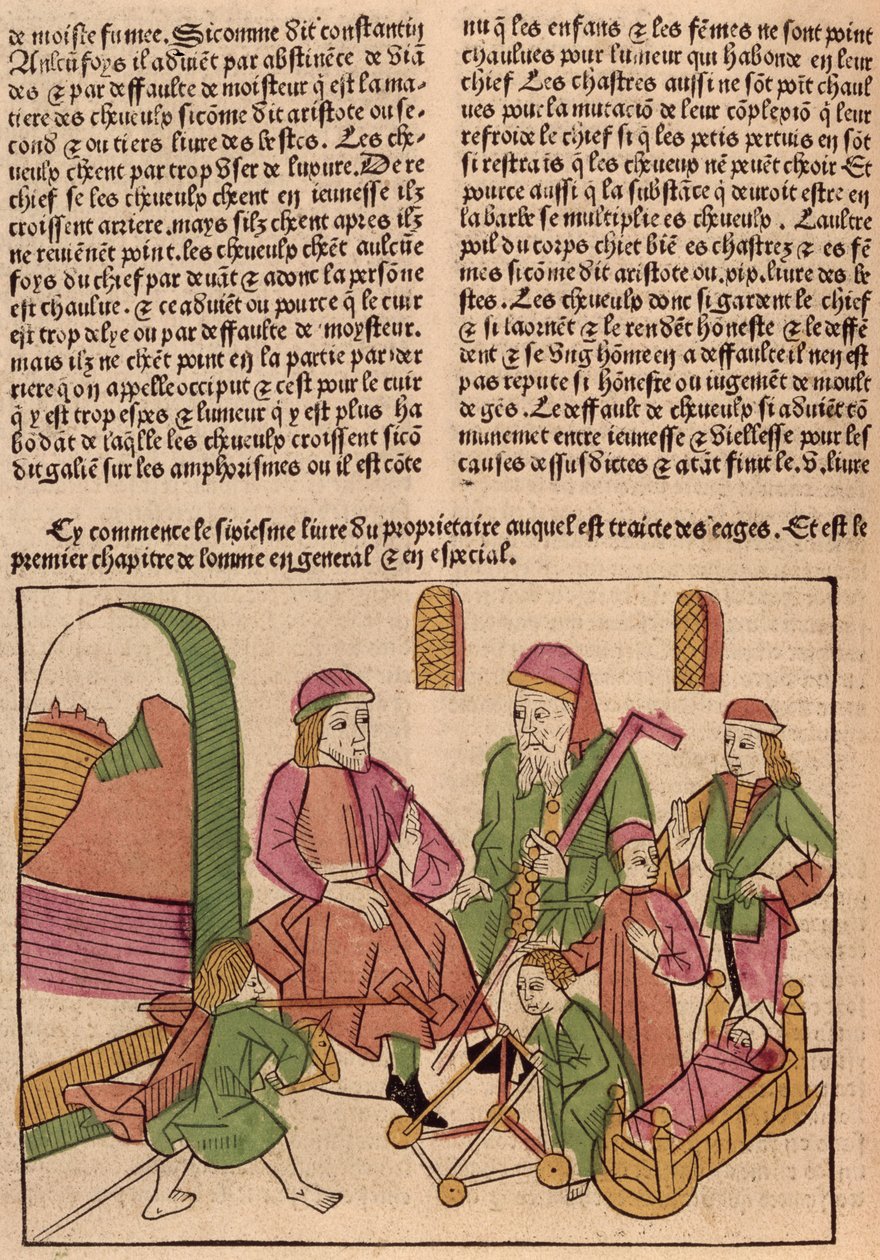 Elämän vaiheet, Barthelemy langlaisin Le Livre des Proprietes des Choses, 1485 (väripuupiirros) tekijältä French School
