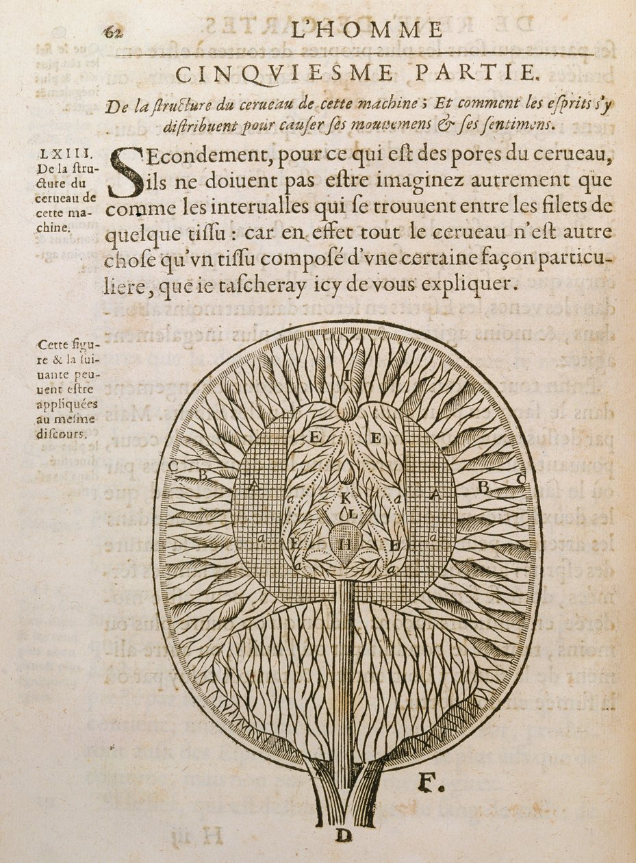Aivojen rakenne, Rene Descartesin (1596-1650) De Homine Figuris -kirjasta, joka julkaistiin Haagissa, 1662 tekijältä French School