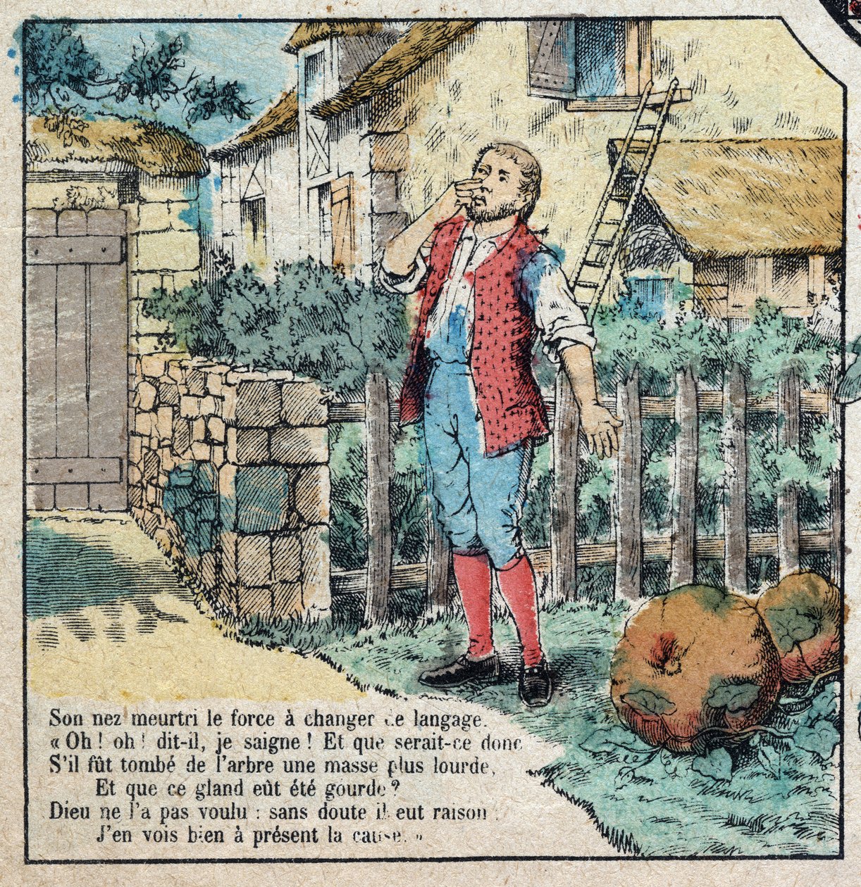 Tammenterho ja kurpitsa. Jean de La Fontainen (1621-95) satuja. Epinalin kuva 1800-luvun lopulta. tekijältä French School