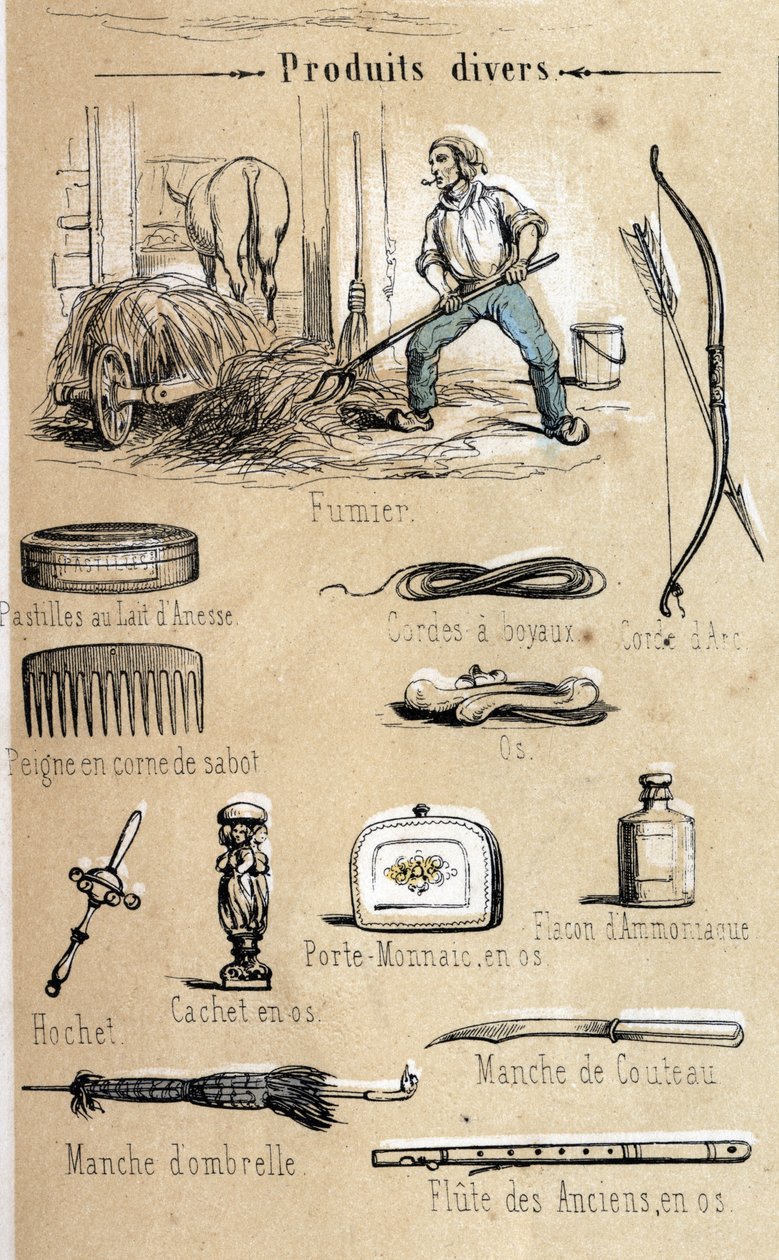Aasi ja sen tuotteet kaiverrus vuodelta 1860 "" opettavaiset virkistykset"" Jules DELBRUCKin synoptinen maalaus. Yksityinen kokoelma. tekijältä French School