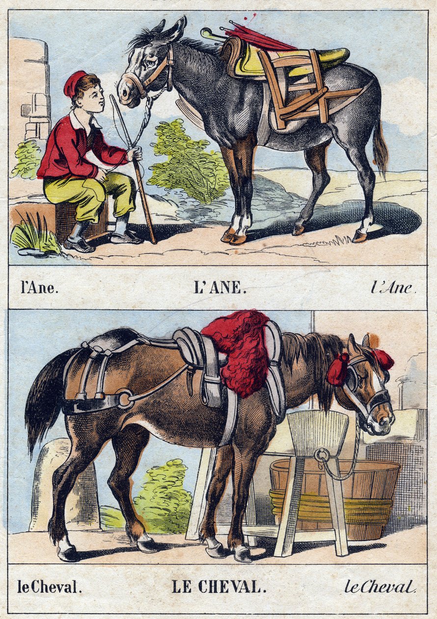 Aasi ja hevonen. Kaiverrus "Buffon Alphabet des Animaux". 3. sarja N 1. Epinal, Epinal, 1800-luvun loppu. Kuvaus. 16 sivua. Mitat: 28x21cm tekijältä French School