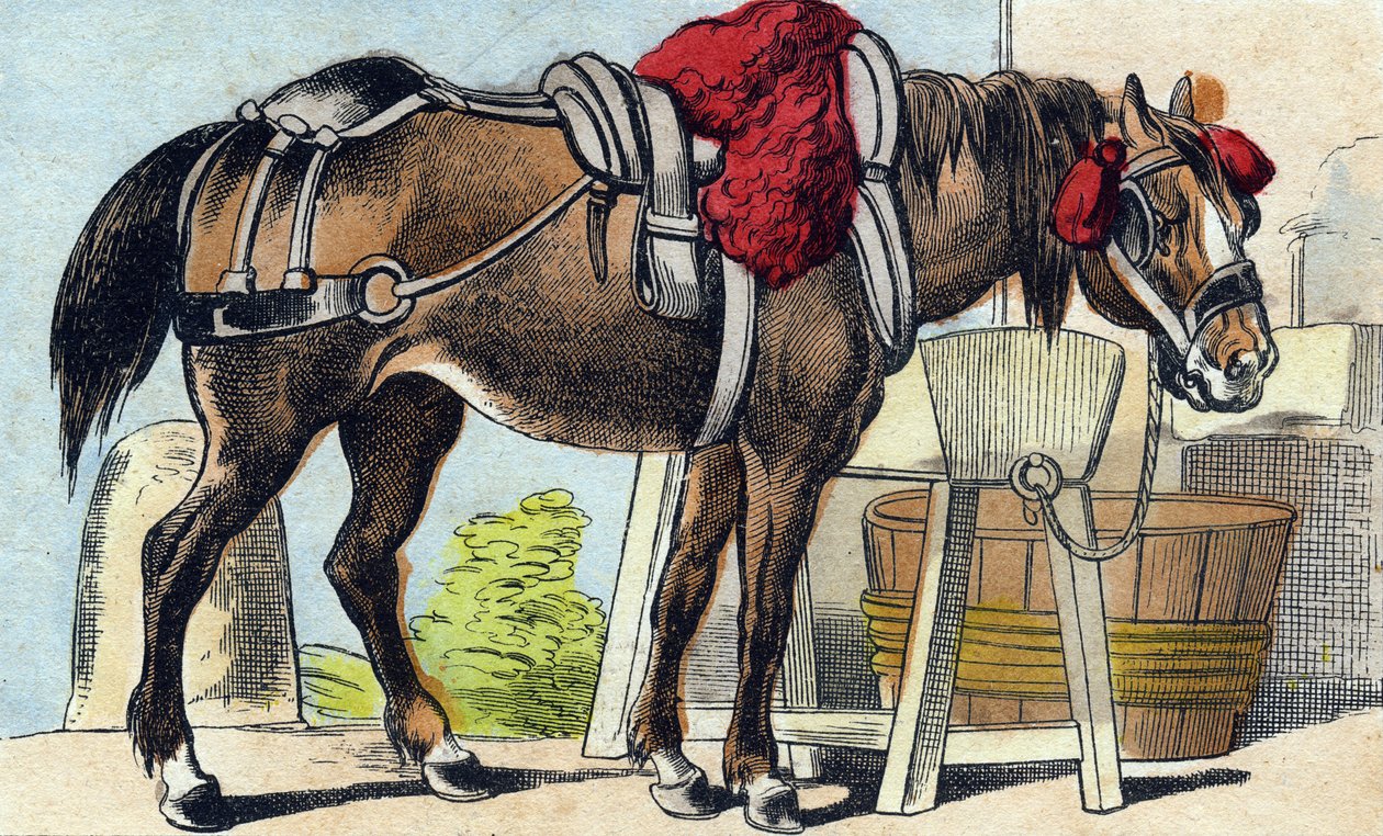 Hevonen. Kaiverrus "Buffon Alphabet des Animaux". 3. sarja N 1. Epinal, Epinal, 1800-luvun loppu. Kuvaus. 16 sivua. Mitat: 28x21cm tekijältä French School