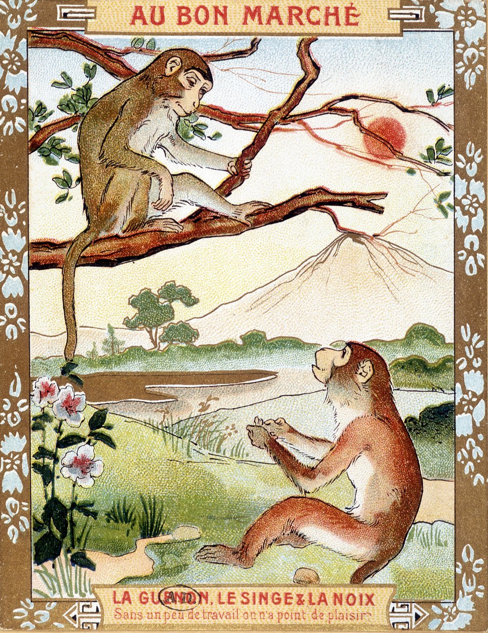 Apina ja pähkinä (Fable by La Fontaine) - Bon Marché -mainosvinjetti tekijältä French School