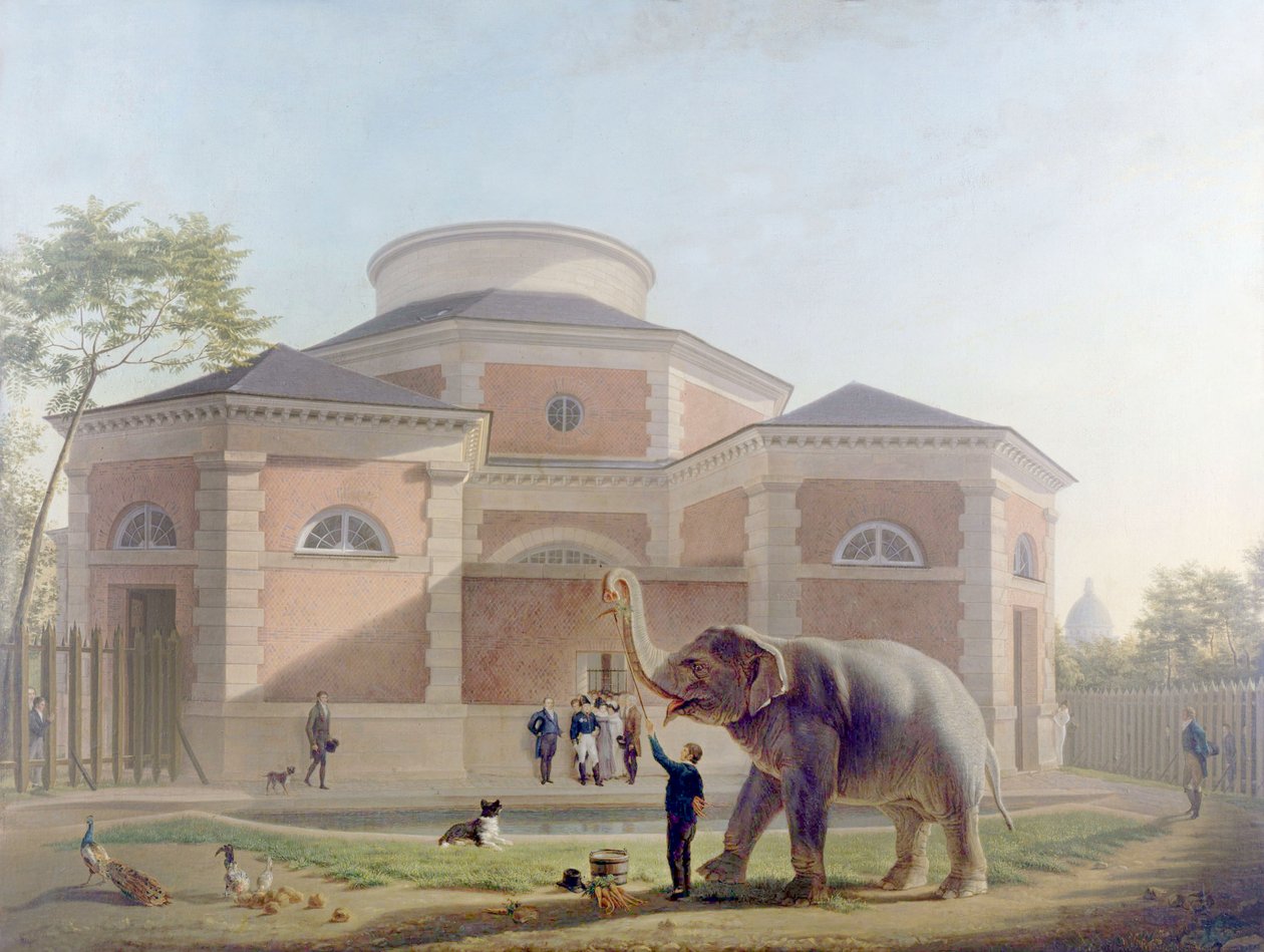Rotunda Jardin des Plantesissa, Pariisissa, n. 1810 (maalaus) tekijältä French School
