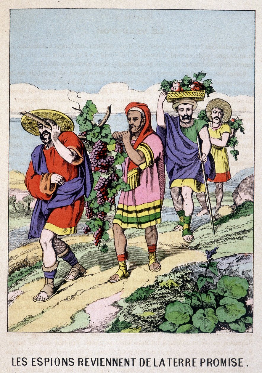 Vakoilijat palaavat luvatusta maasta - kirjassa "Mooseksen elämä", toim. Olivier Pinot, Epinal, 1800-luvun loppu tekijältä French School