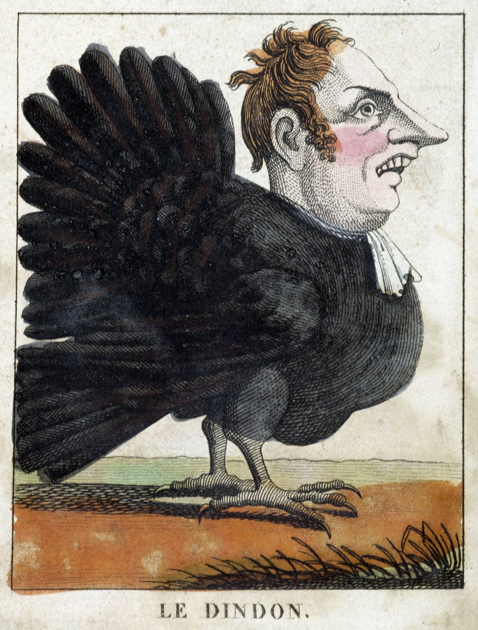 Kalkkuna karikatyyrissä, tutkimus luonteesta "haihtuva luonne" sd. 19., suosittuja kuvia. tekijältä French School