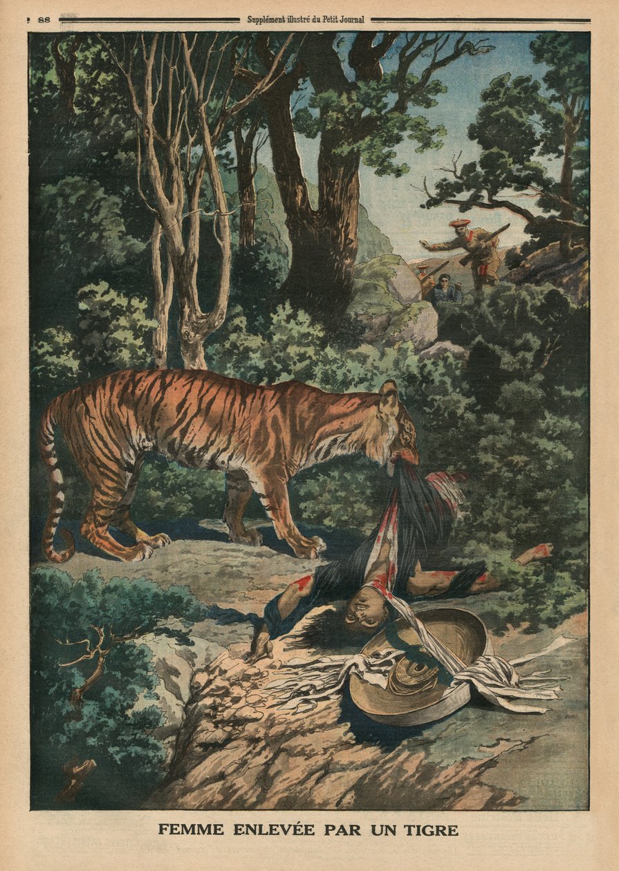 Tiikeri hyökkää naisen kimppuun, takakannen kuvitus Le Petit Journalin kuvaliitteestä, 15. maaliskuuta 1914. tekijältä French School