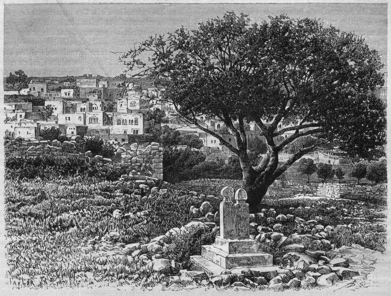 Näkymä Safedista, Syyriasta tänään. Matkustaa Foinikiassa, Libanonissa ja Juudeassa. Louis Charles Emile Lortetin 1875-1880, 1884 (bw-kaiverrus) tekijältä French School