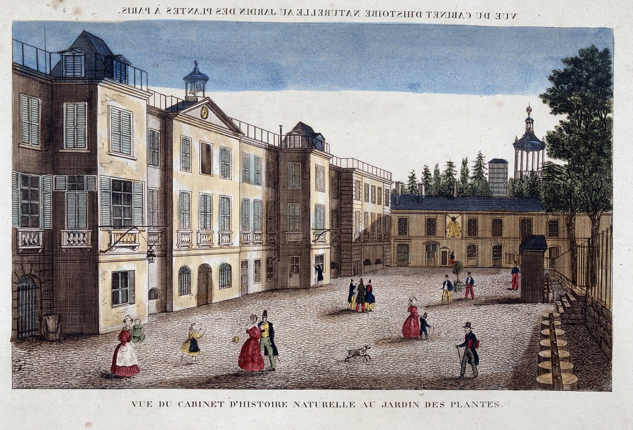 Näkymä luonnontieteellisestä kabinetista Jardin des Plantesissa Pariisissa - kaiverrus tekijältä French School