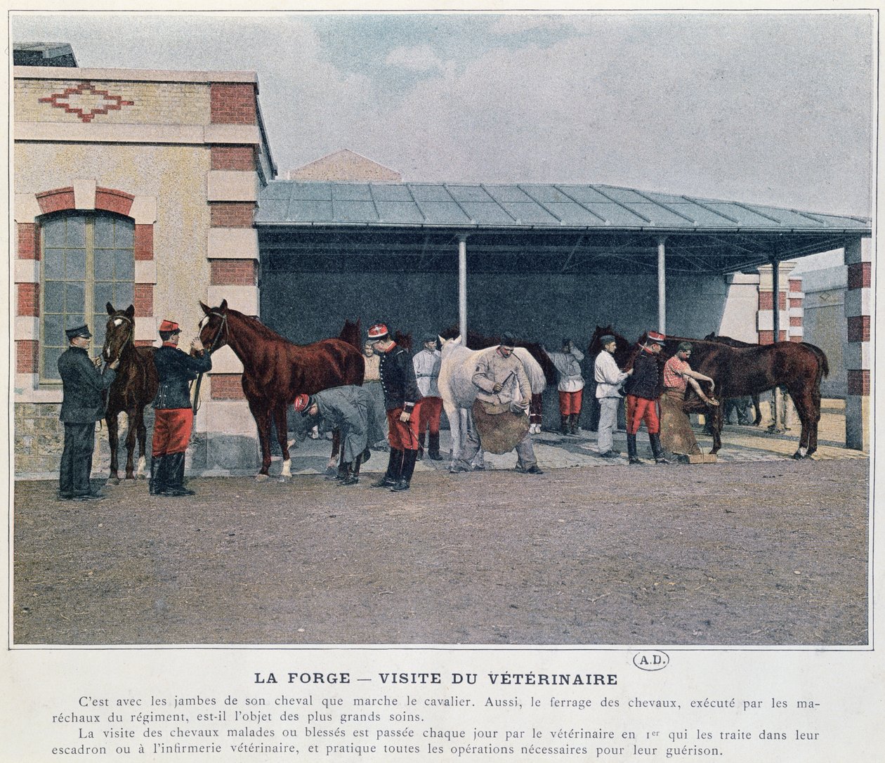 Armeijan eläinlääkärin vierailu kasarmiin, 1897 (värilitho, värillisen kuvan jälkeen) tekijältä French School