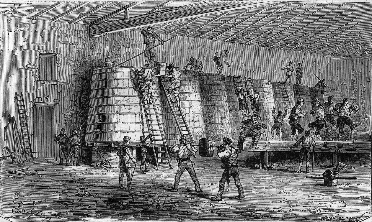 Viininviljely Medocissa: murskaus ja säiliöihin sijoittaminen. Kaiverrus "Le Monde Illustre" -julkaisussa nro 561, 11. tammikuuta 1868. tekijältä French School