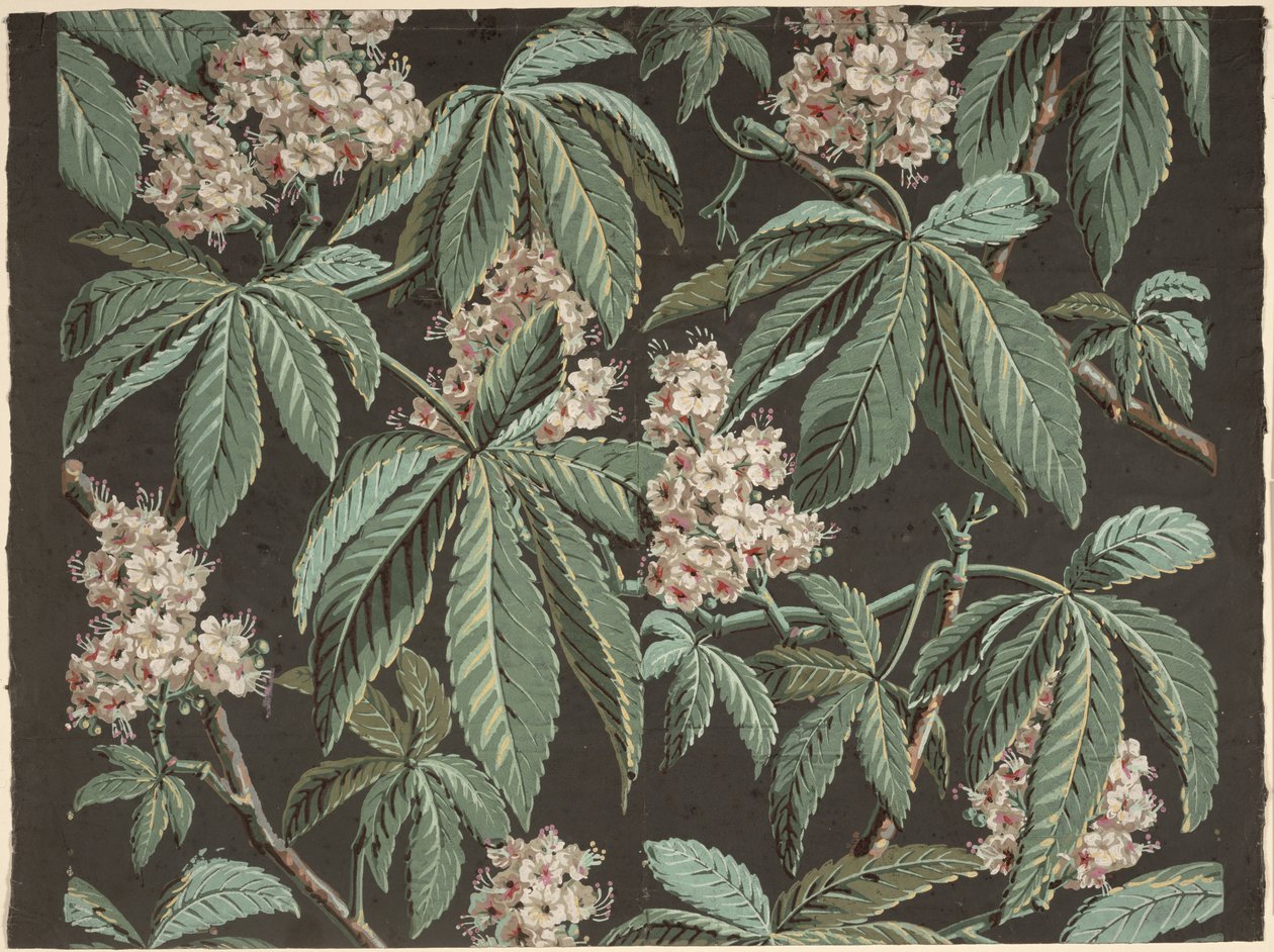 Tapettisuunnittelu Chestnut Branchilla (yksityiskohta) n. 1810, valmistaja Josef Dufour (1752-1827), Pariisi, tekijältä French School