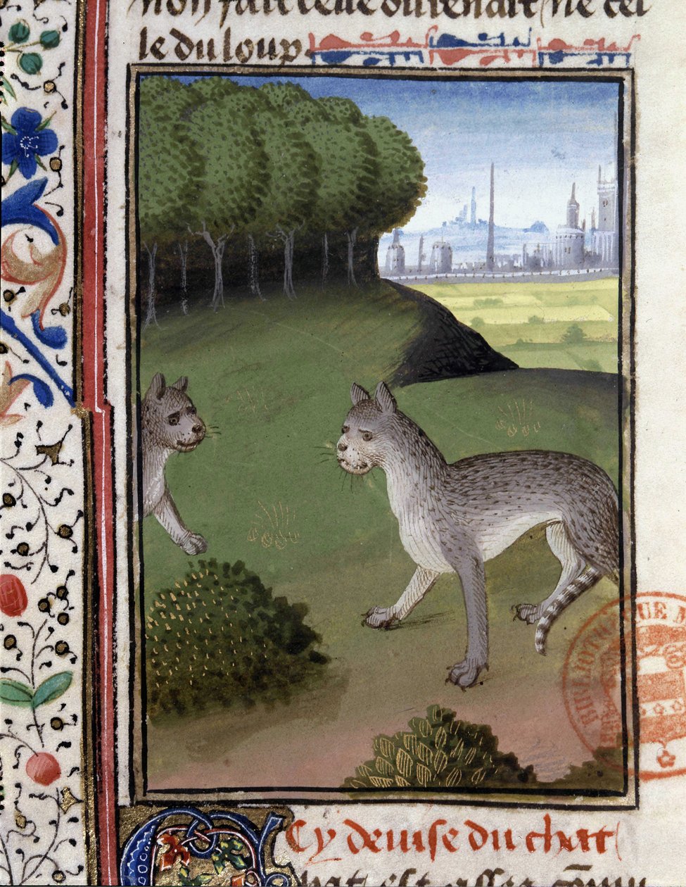 Villikissat - "" Metsästyskirjassa Gaston Phoebus, Foixin kreivi, Lord of Bearn"" tekijältä French School