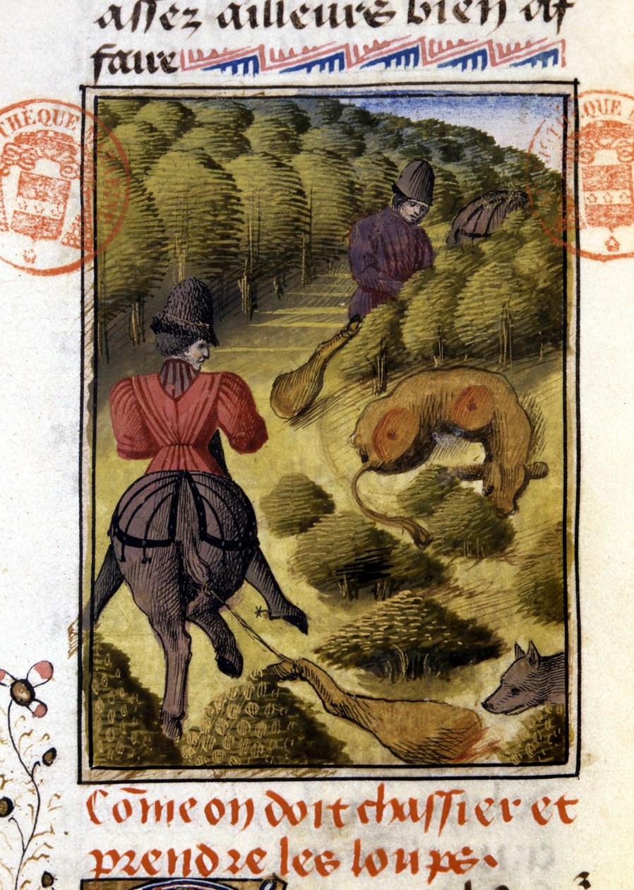 Susimetsästys "" Gaston Phoebusin, Foixin kreivin, Béarnin herran metsästyskirja"" tekijältä French School