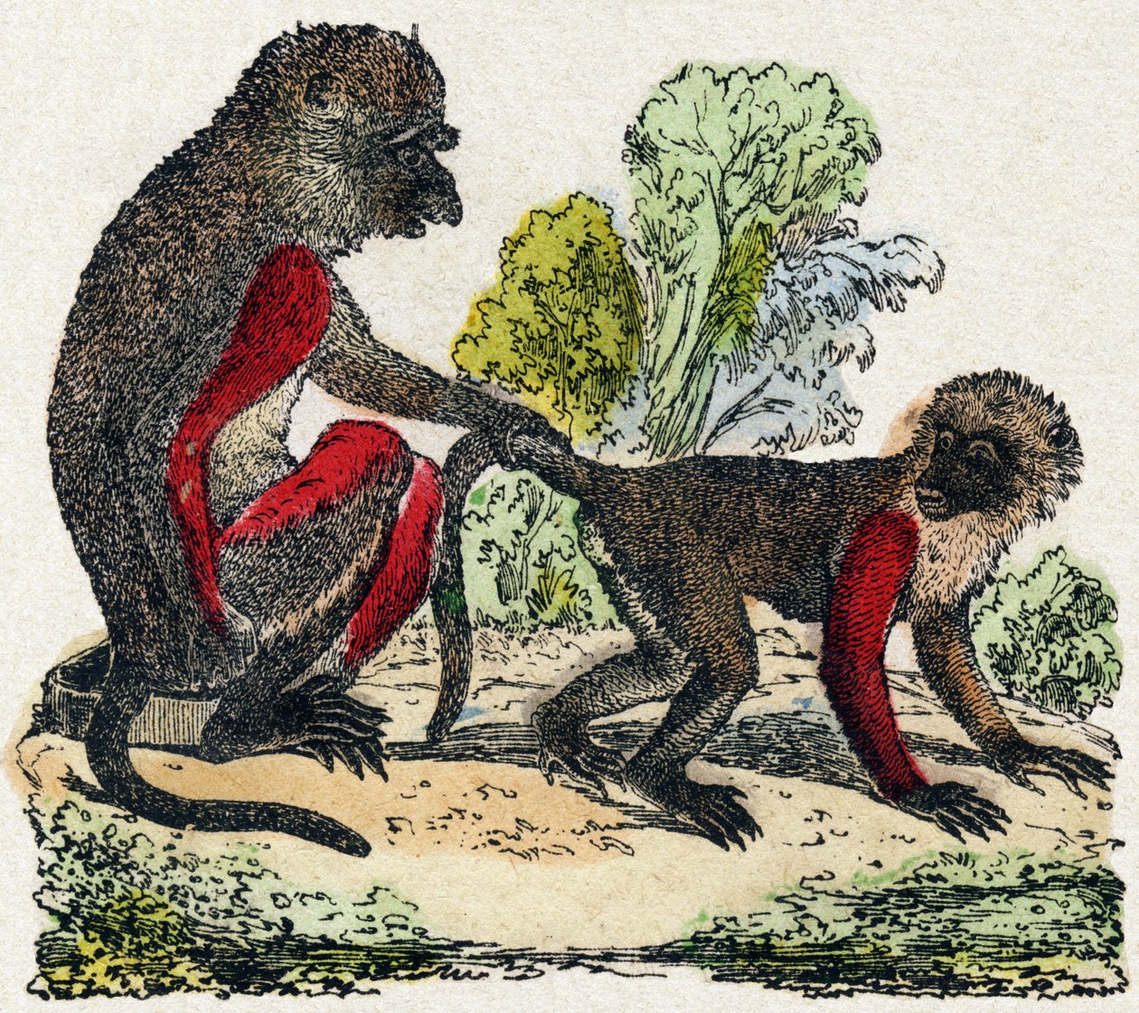 Yarques. Kaiverrus "Wild Animals Alphabet". 9. sarja. Kuvia Epinalista, Pellerin, kirjapaino-kustantaja, n. 1870. Kaiverrukset puuhun, stensiili. 16 sivua. Koko: 20 x 15 cm. Yksityinen kokoelma tekijältä French School