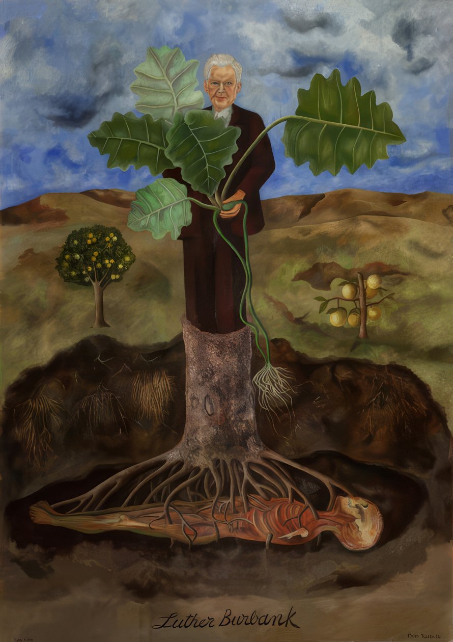 Luther Burbankin kuvaus tekijältä Frida Kahlo