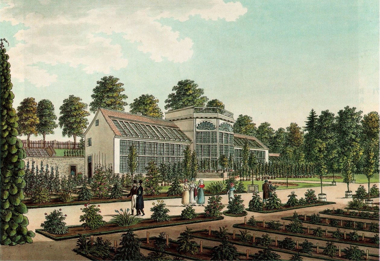 Treibhaus im alten botanischen Garten Göttingenissä, Hintergrund der Stadtwall. Kolorierte Radierung tekijältä Friedrich Besemann