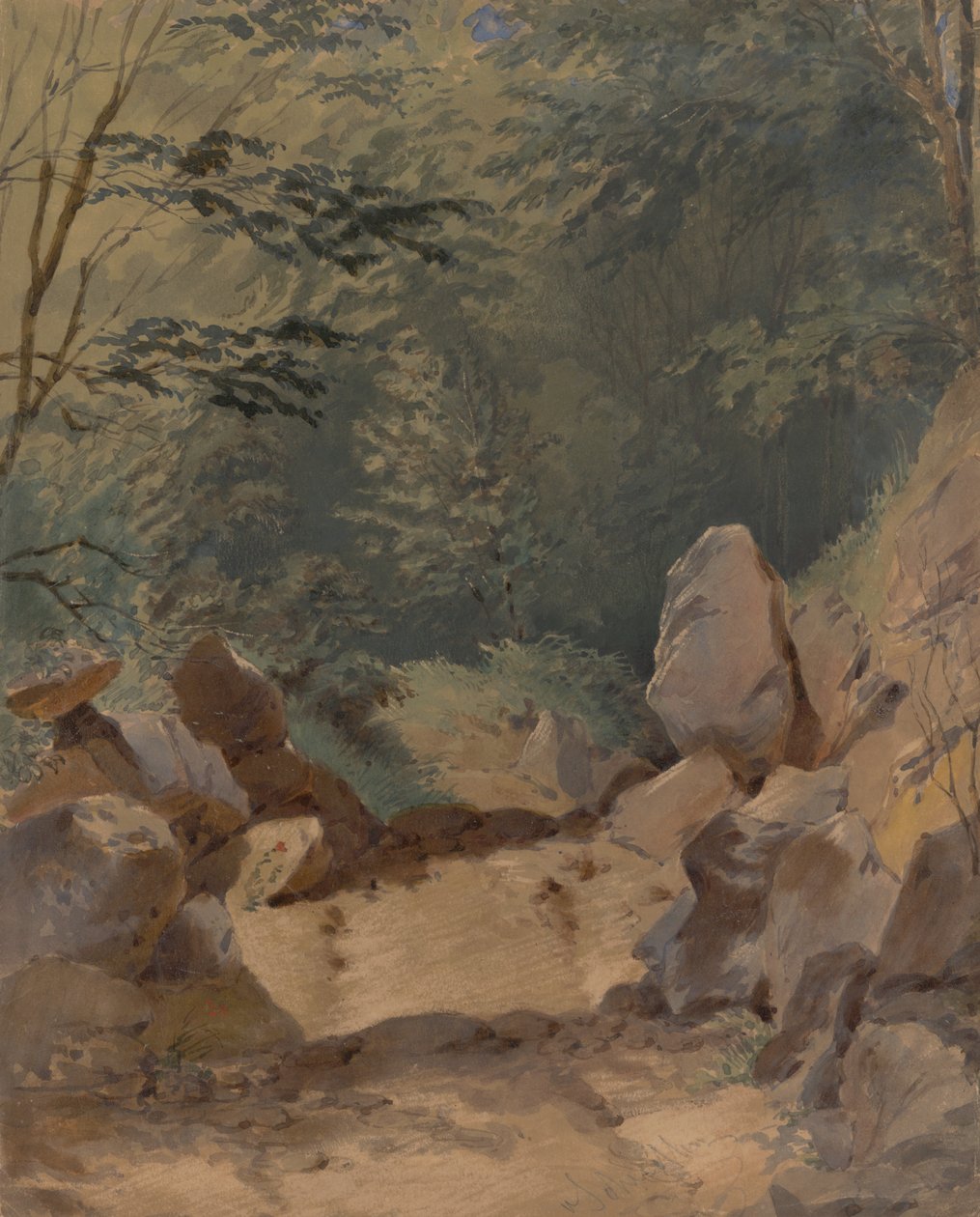 Metsämaisema kivillä tekijältä Friedrich Carl von Scheidlin