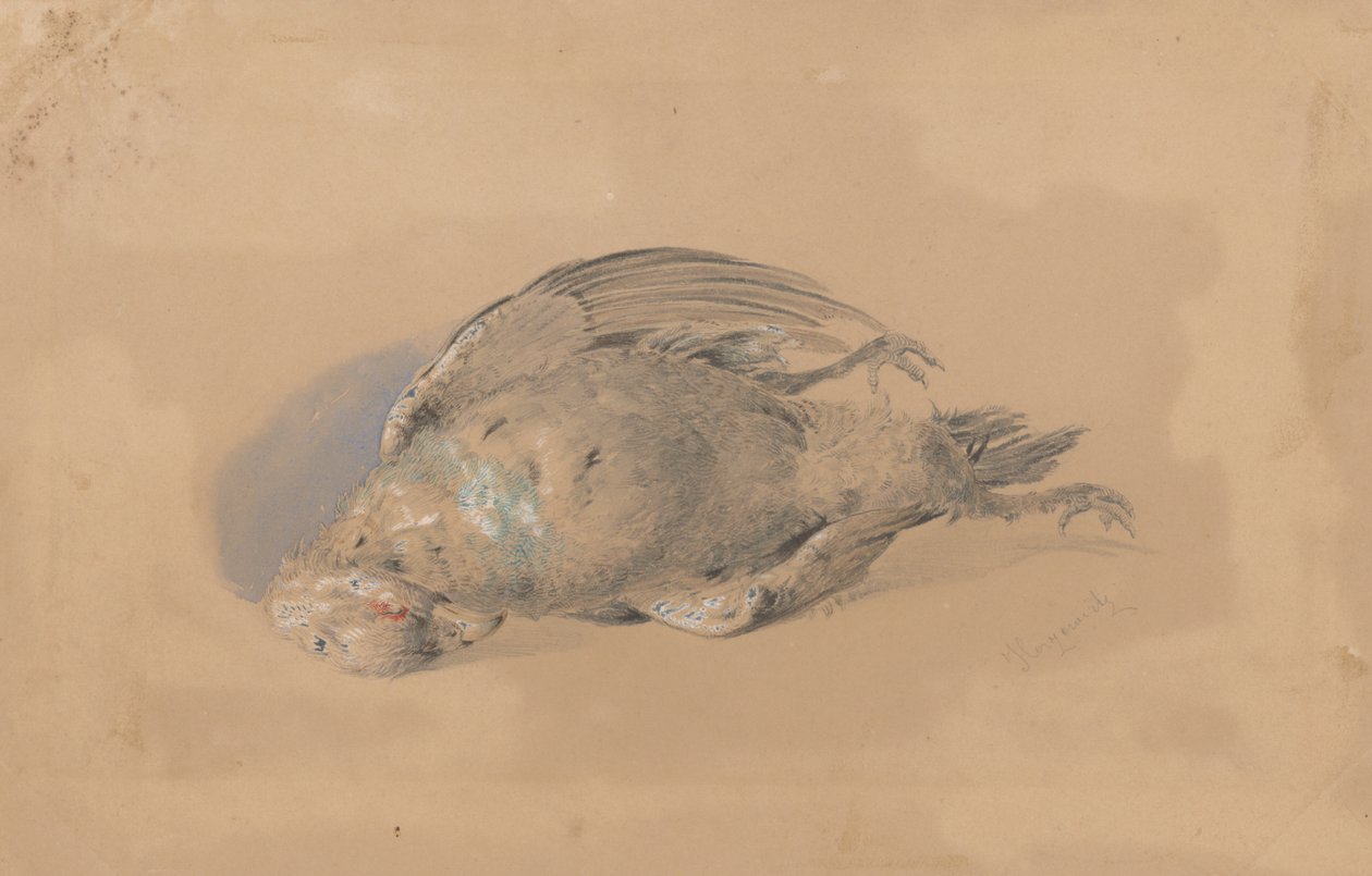 Dead Grouse tekijältä Friedrich Carl von Scheidlin