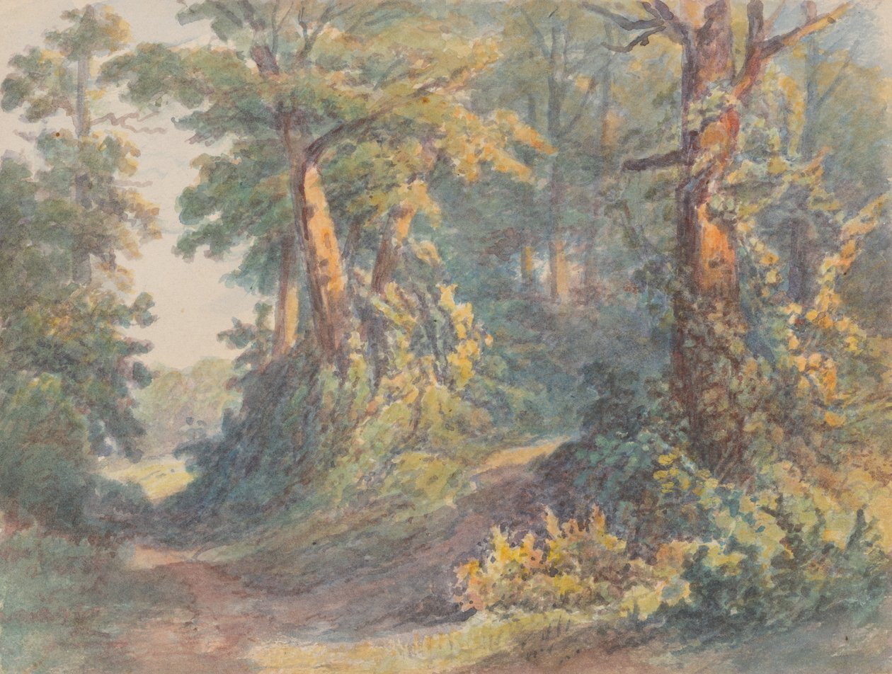 Metsämaisema tekijältä Friedrich Carl von Scheidlin