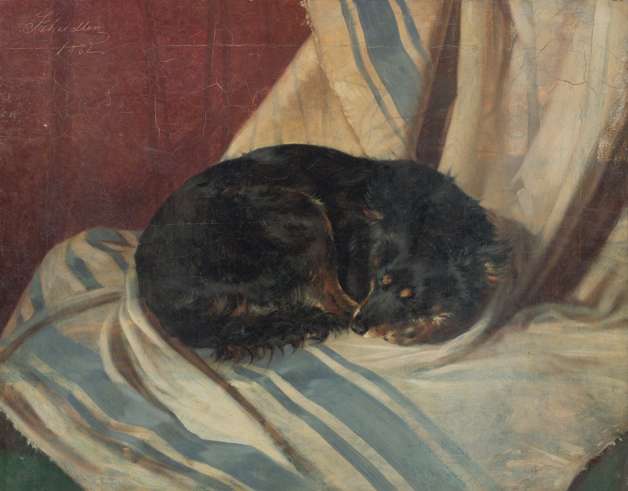 Tutkimus makaavalta koiralta tekijältä Friedrich Carl von Scheidlin