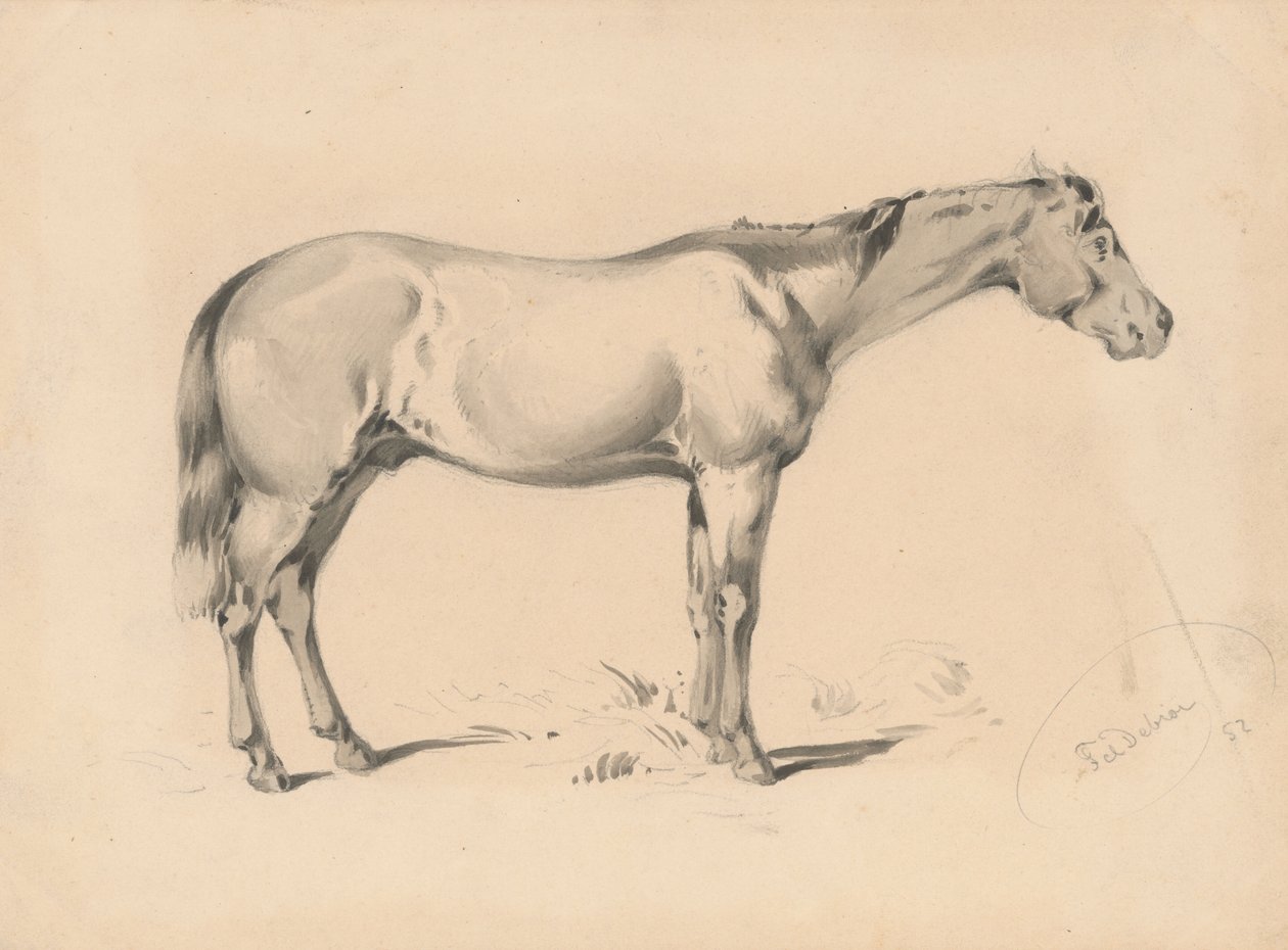Tutkimus hevosesta I tekijältä Friedrich Carl von Scheidlin