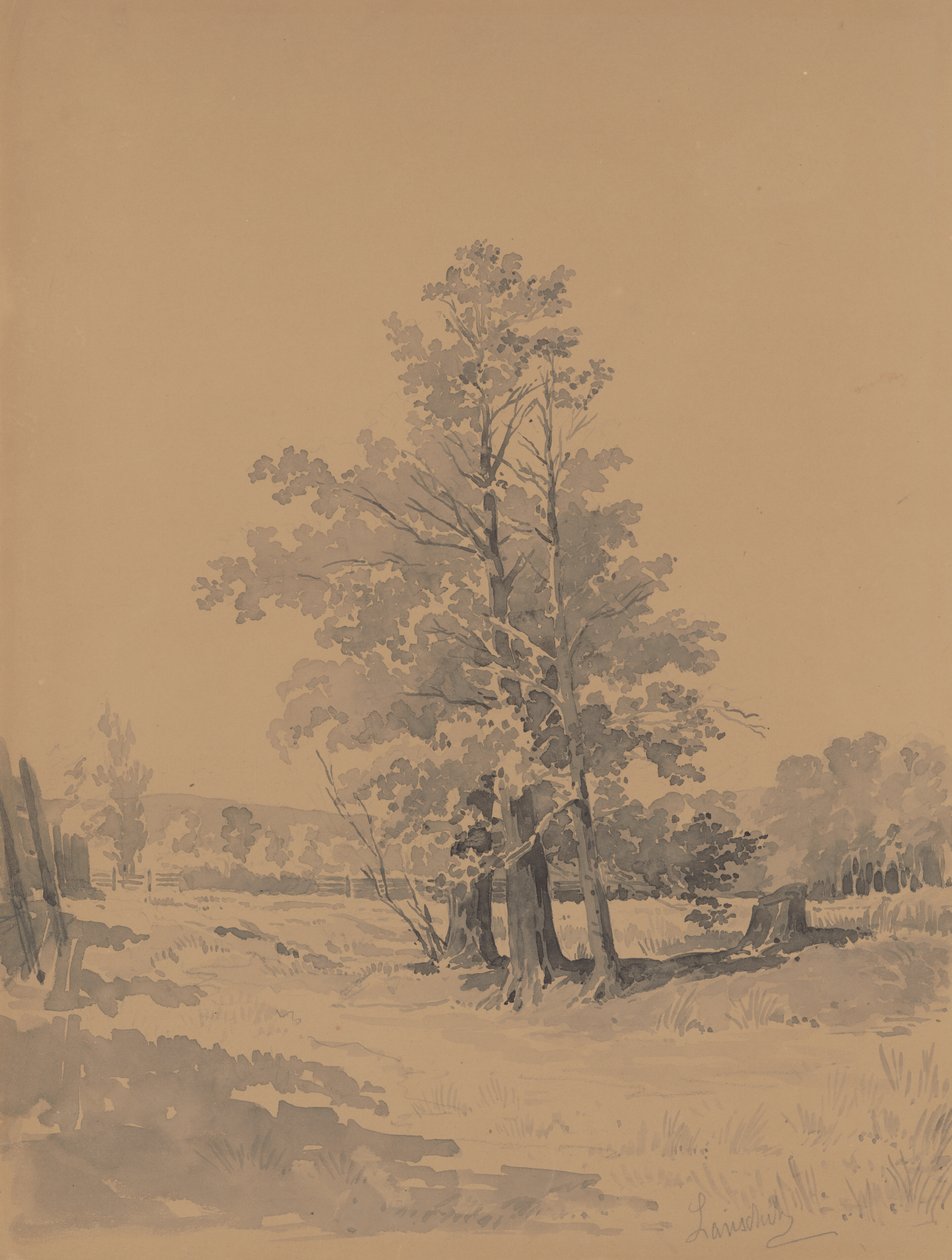 Puita metsän reunalla tekijältä Friedrich Carl von Scheidlin