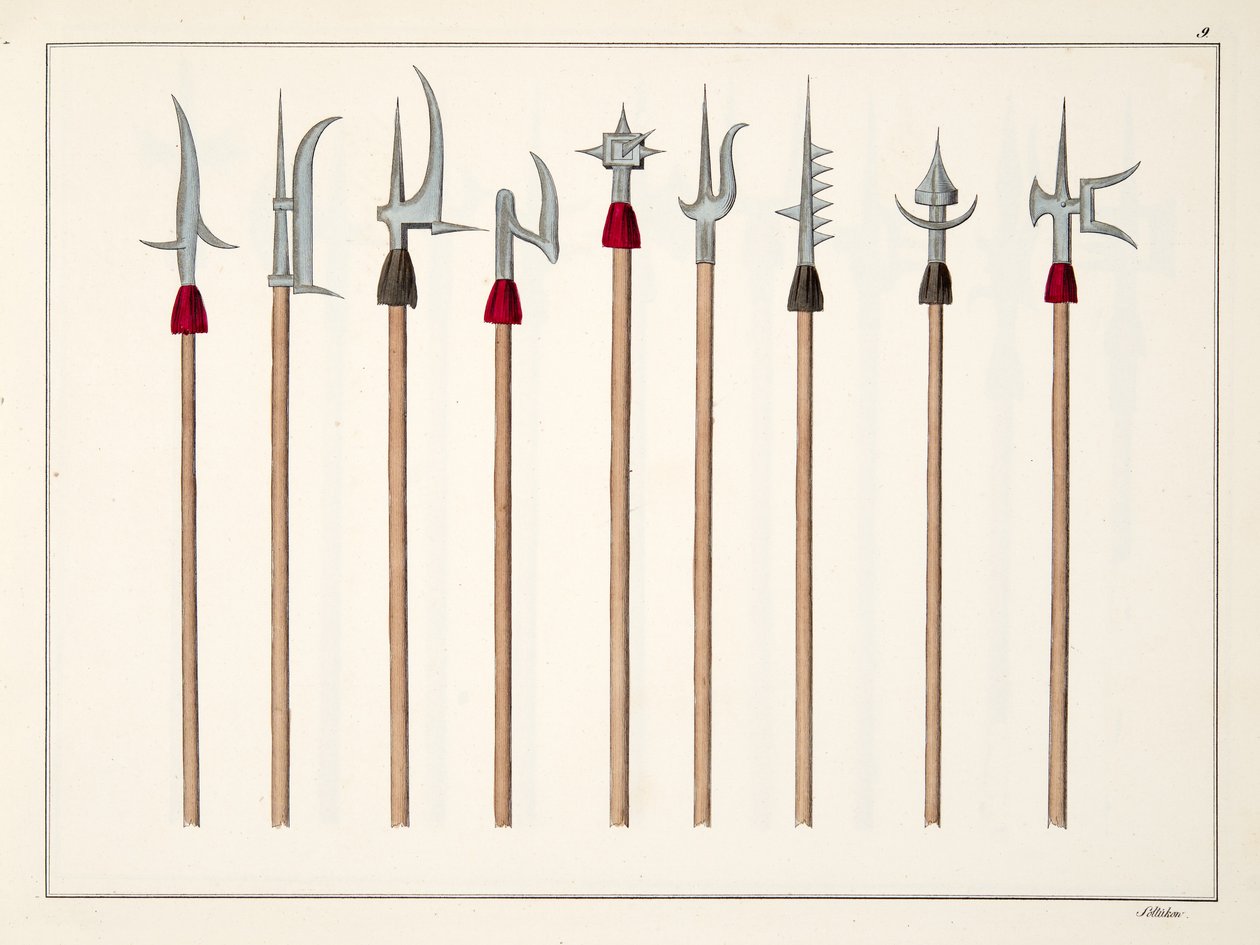 Keihät, keihäät, alabardit ja partisaanit, lautanen tohtori Franz Kottenkampin kirjasta "A History of the Development and Customs of Chivalry", julkaisija Carl Hoffmann, 1842 tekijältä Friedrich Martin von Reibisch