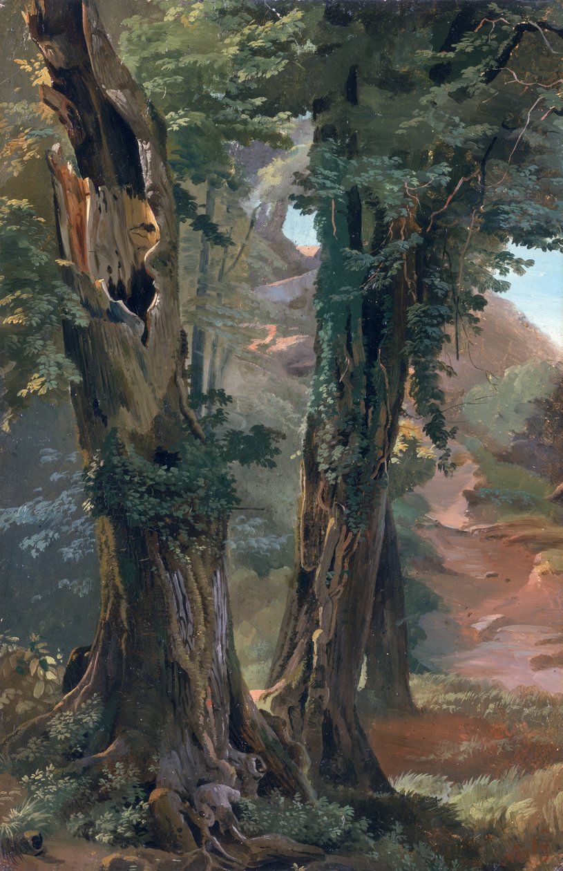 Old Elms, n. 1835 (öljy paperille levylle) tekijältä Friedrich Nerly