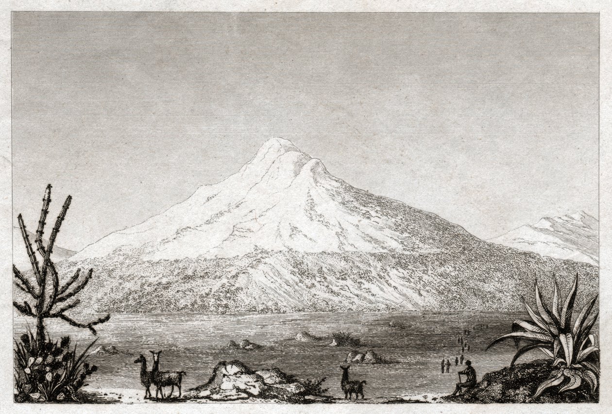 Chimborazon tulivuori. (kaiverrus, n. 1840) tekijältä Friedrich Alexander Baron von (after) Humboldt