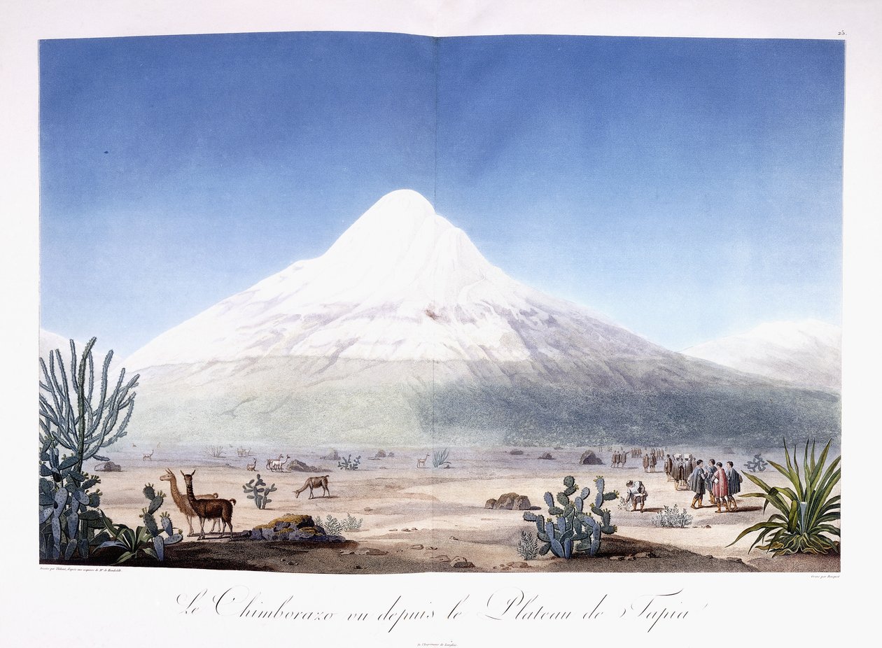 Chimborazo nähtynä Plateau de Tapiasta tekijältä Friedrich Alexander Baron von (after) Humboldt
