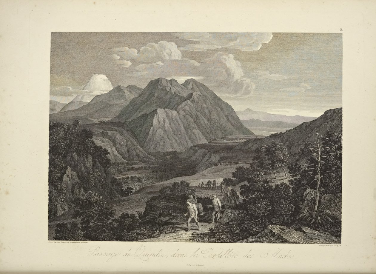 Kukat tekijältä Friedrich Alexander Baron von (after) Humboldt