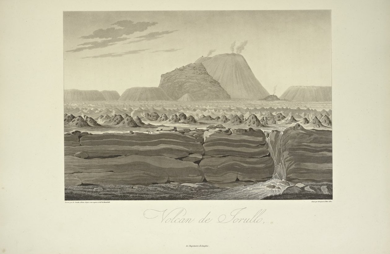 Kukat tekijältä Friedrich Alexander Baron von (after) Humboldt