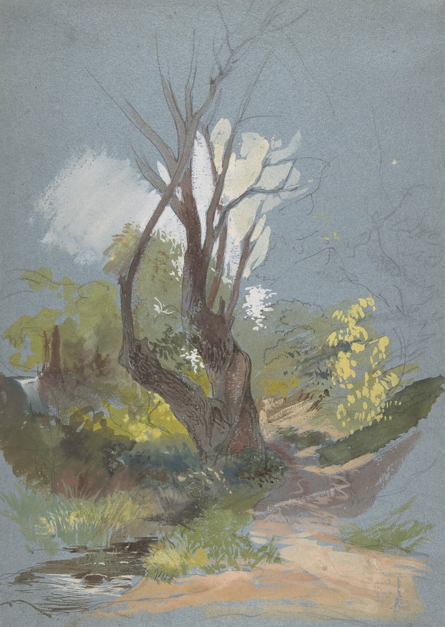 Vuoristopolku puulla, 1820-78. tekijältä Friedrich Nerly