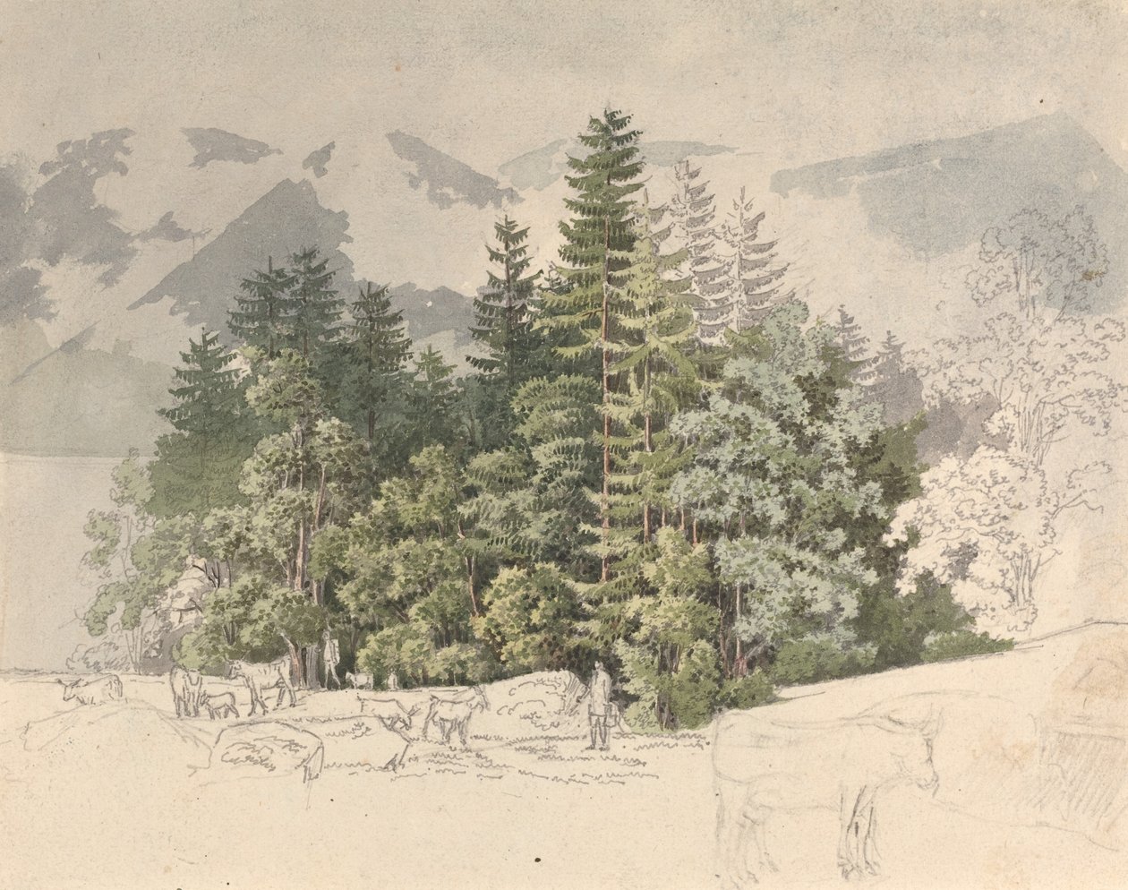 Alppien maisema tekijältä Friedrich Salathé