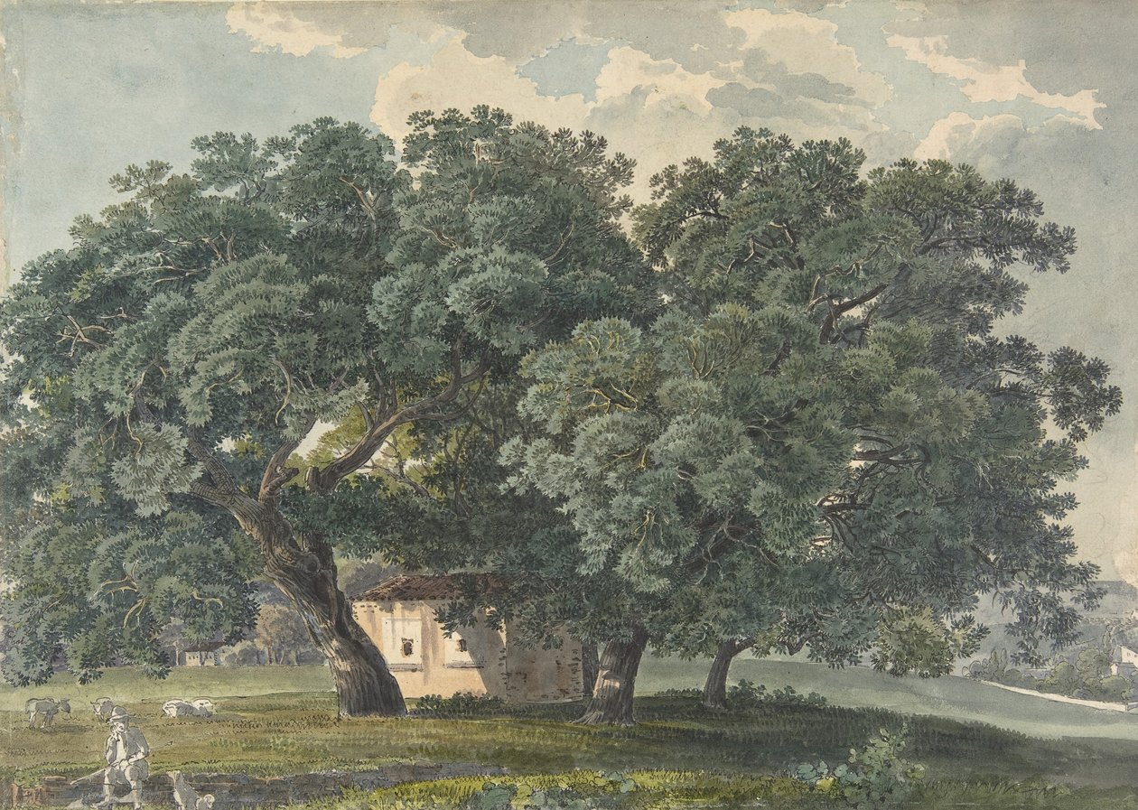 Italialainen maisema puilla recto, 1815-21. tekijältä Friedrich Salathé