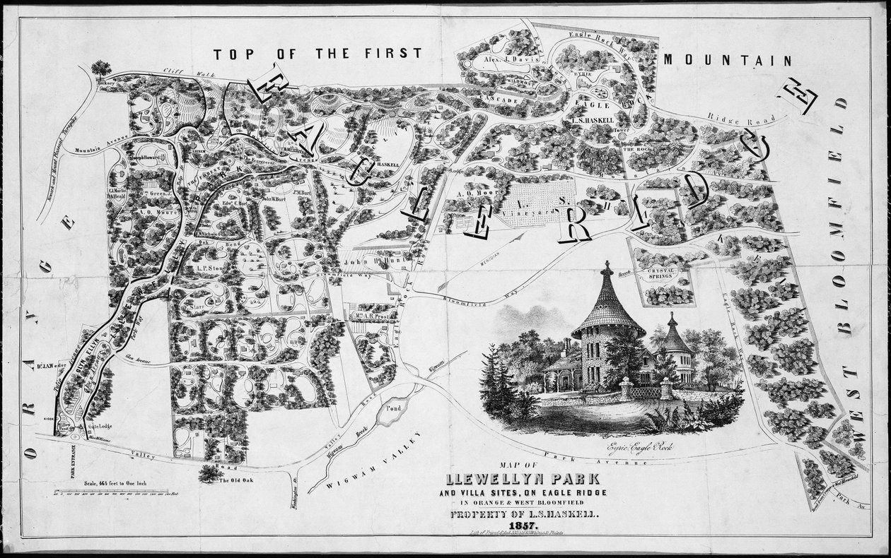 Kartta Llewellyn Parkista ja Villa Sitesista, Eagle Ridgestä Orange & West Bloomfieldissä, 1857, 1857. tekijältä Friend and Aub
